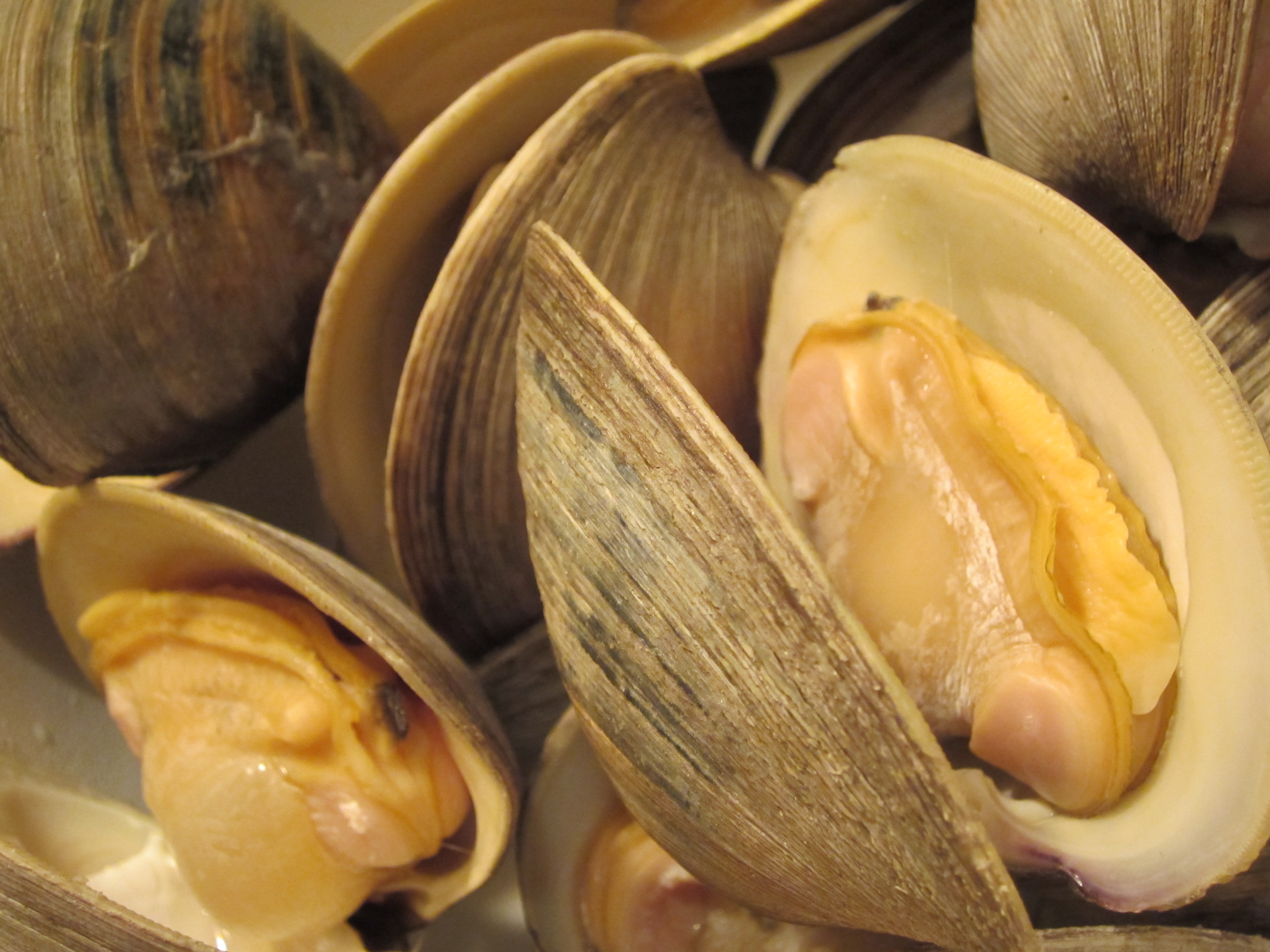 3) With using a table knife, take the clam meat from the shell. 